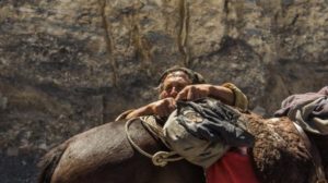 La historia de Don Hernandez, un trashumante del norte neuquino