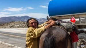 La historia de Don Hernandez, un trashumante del norte neuquino