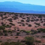 Nidadas de dinosaurios en el desierto de Auca Mahuida