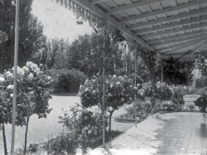 Los Canales - Plottier