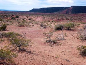 Aguada del chivato - Neuquén