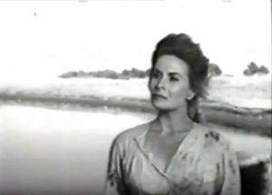 Nelly Meden interpretó a Carmen Funes (La Pasto Verde) en la película Plaza Huincul (Pozo uno) de Lucas Demare, estrenada en 1960.