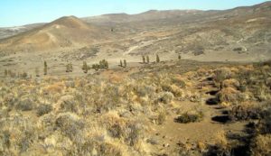 Proximidades de la estancia Sañicó.