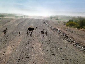 Ruta provincial 7 camino a Cortaderas