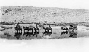 Viaje de Gabriel Carrasco a Chos Malal - 1902