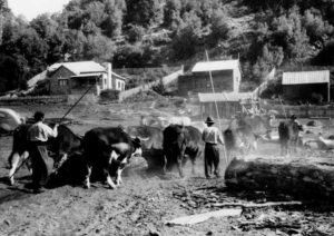 Aserradero sobre el lago Lolog.