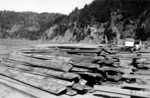Maderas recien descargadas, noviembre de 1942.