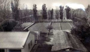 Aspecto del Sector de Talleres, cortinas protectoras y sembradíos