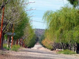 Octavio Pico, Calle Principal