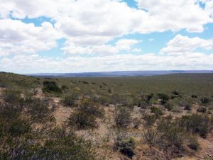 Reserva Area Protegida El Mangrullo - Neuquén