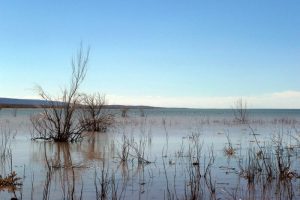 Reserva Area Protegida El Mangrullo - Neuquén
