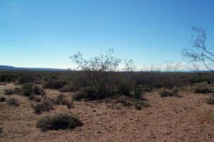 Reserva Area Protegida El Mangrullo - Neuquén