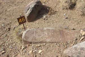 Colomichicó - Colo Michi Có