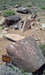 Colomichicó - Colo Michi Có