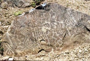 Colomichicó - Colo Michi Có