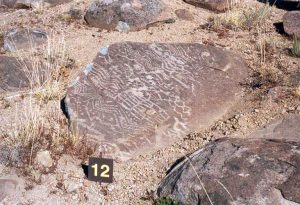 Colomichicó - Colo Michi Có