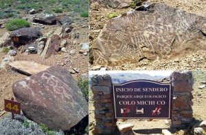 Colomichicó - Colo Michi Có