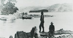 Villa la Angostura - Colonia Agrícola Pastoril