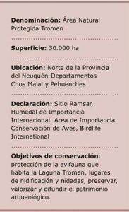 ANP Tromen - Neuquén