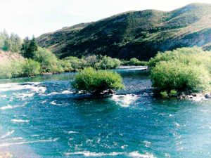 Combate de Chimehuin – 6 de Diciembre de 1882