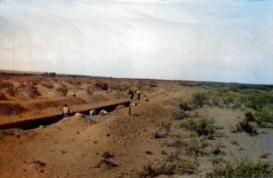 1911 - Trabajadores de Los Canales, a pala y pico construyendo el canal principal que hoy cruza la ciudad de Plottier.