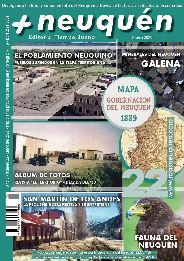 Más Neuquén 22