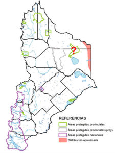 Área de distribución en Neuquén del Gato Moro