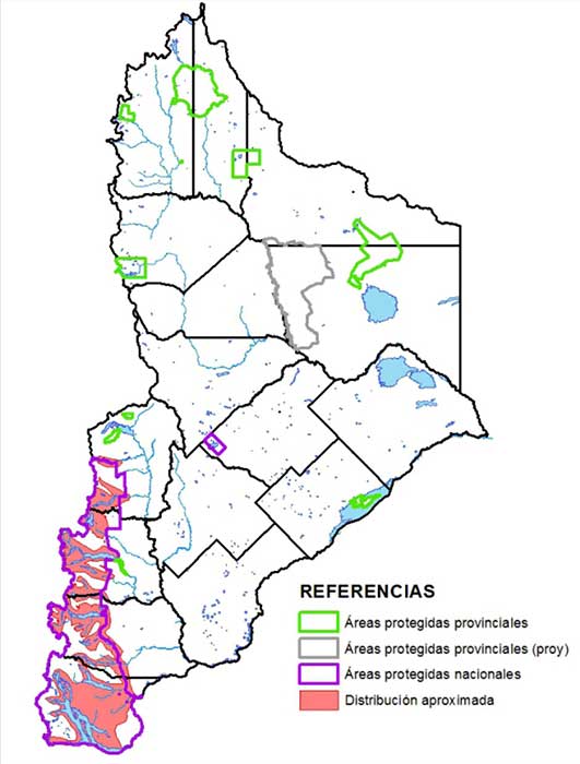 Área de distribución en Neuquén de la Huiña