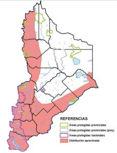 Área de distribución en Neuquén del Cauquén Real.