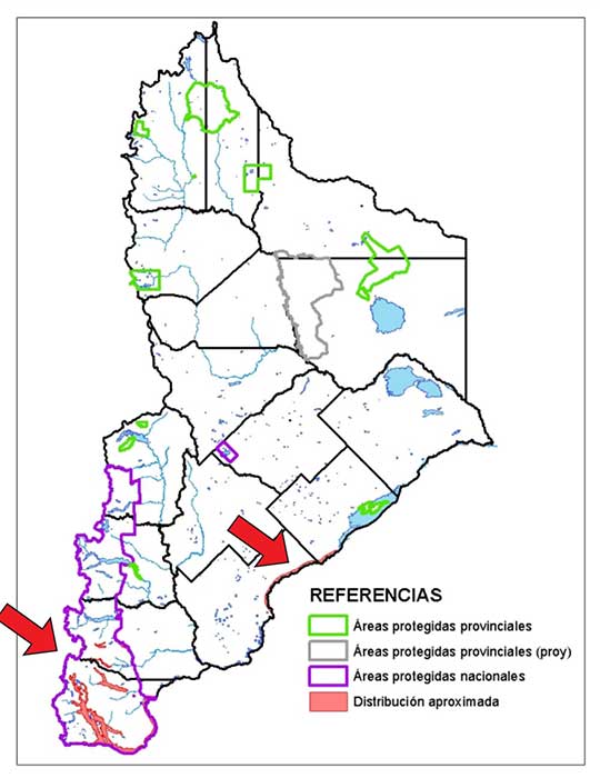 Área de distribución en Neuquén del Huillín
