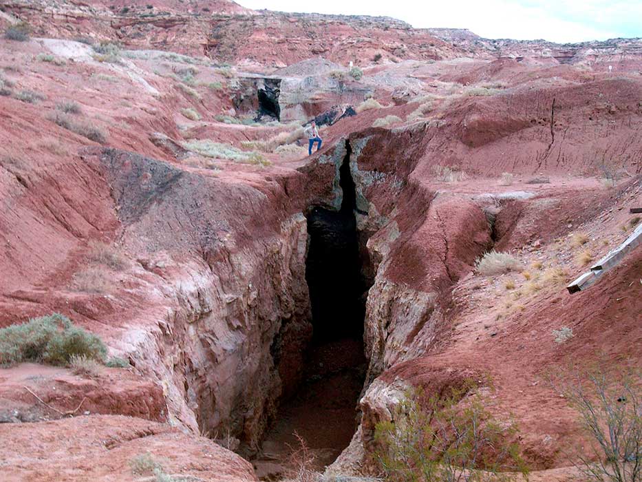 La mina “Fortuna IV” se ubica a 25 km al NO de la ciudad de Rincón de los Sauces.