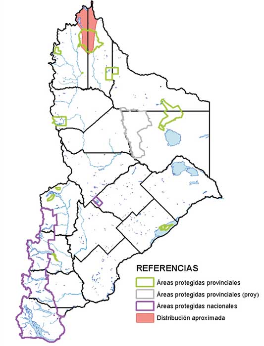Área de distribución en Neuquén del Chorlito Vincha