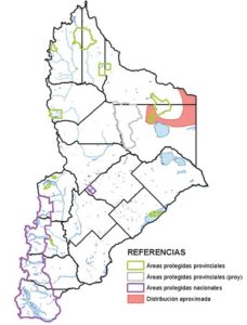 Área de distribución en Neuquén del pichiciego