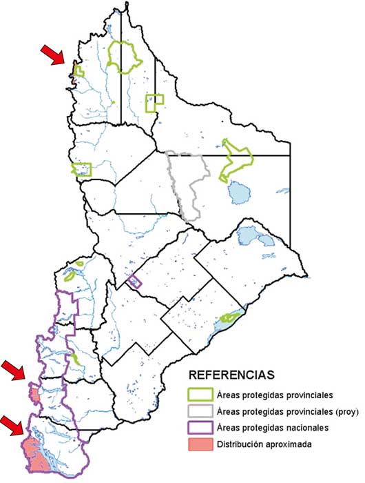 Área de distribución en Neuquén del Huemul.