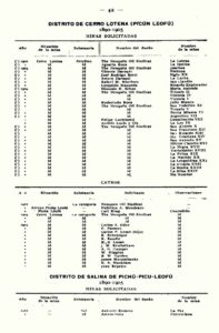 Hoja del padrón minero de los territorios nacionales (1890 - 1905) de la División de Minas, Geología e Hidrología del Ministerio de Agricultura, correspondiente al distrito Cerro Lotena (Picún Leufú).