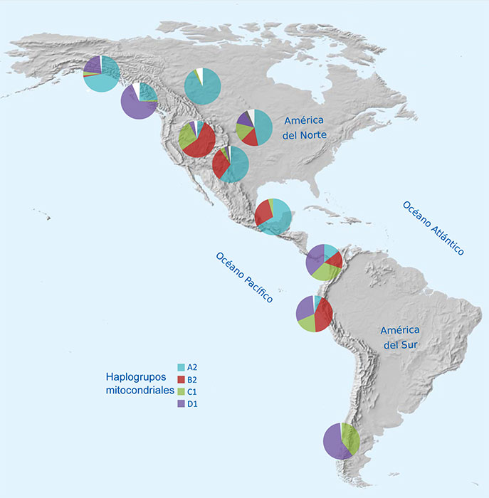 Distribución geográfica de las frecuencias de los haplogrupos de ADNmt de las poblaciones nativas americanas.