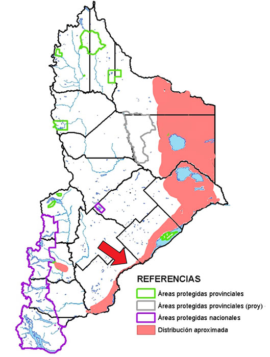 Área de distribución en Neuquén de la Yarará ñata