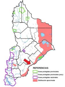 Áres de distribución en Neuquén de la Copetona: