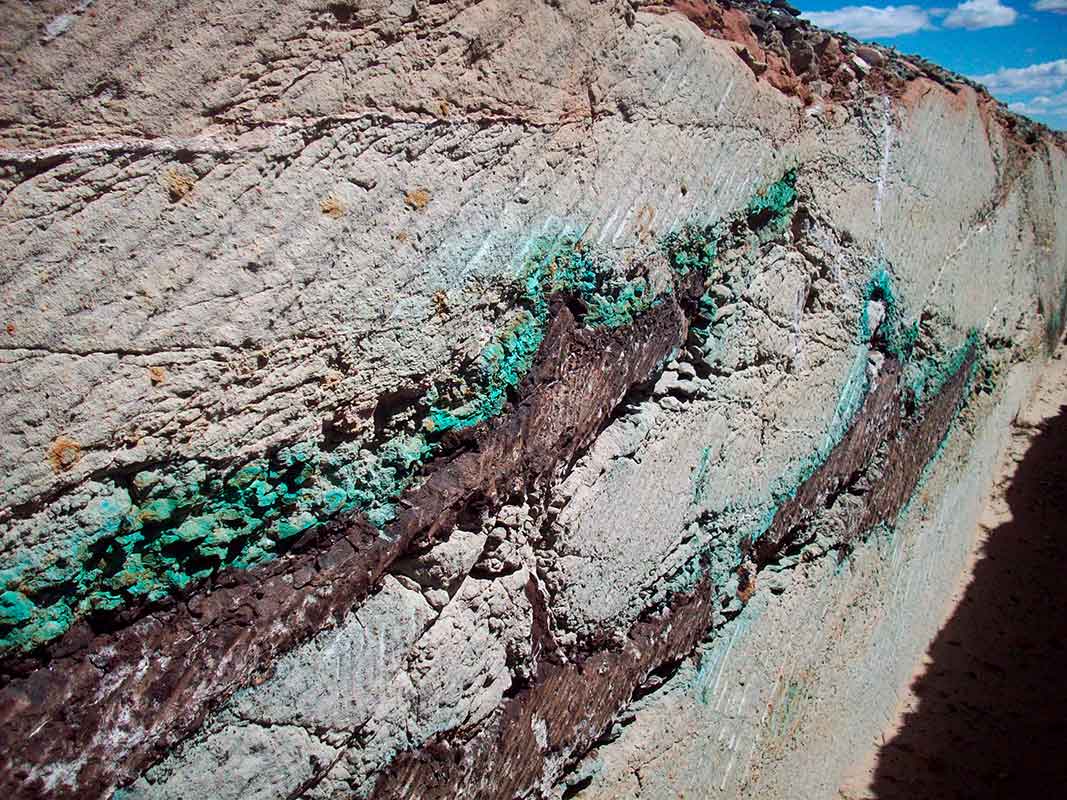 Depósitos de cobre sedimentario en rocas cretácicas, provincia del Neuquén.