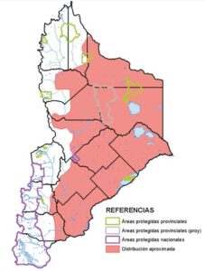 Área de distribución en Neuquén del Choique (Rhea pennata)