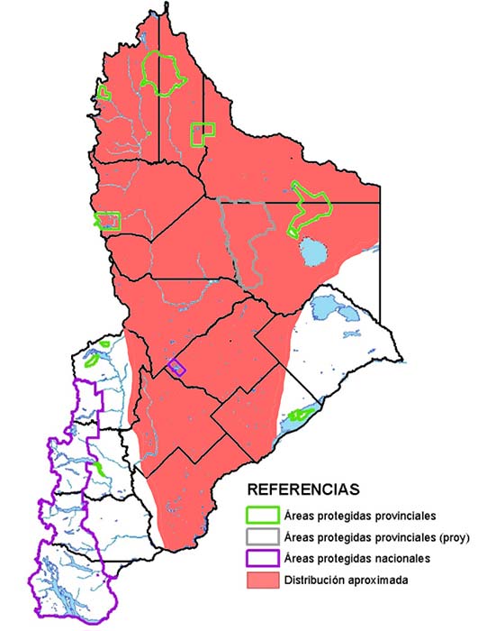 Área de distribución en Neuquén del Chinchillón (Lagidium viscacia)