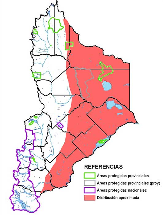 Área de distribución en Neuquén del Cuis chico (Microcavia australis).