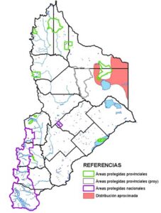 Área de distribución en Neuquén del Ñandú (Rhea americana)