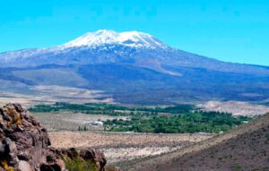 Buta Ranquil. Al fondo, el volcán Tromen.