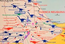 Dinosaurios de la Cuenca Neuquina