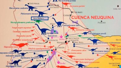Dinosaurios de la Cuenca Neuquina