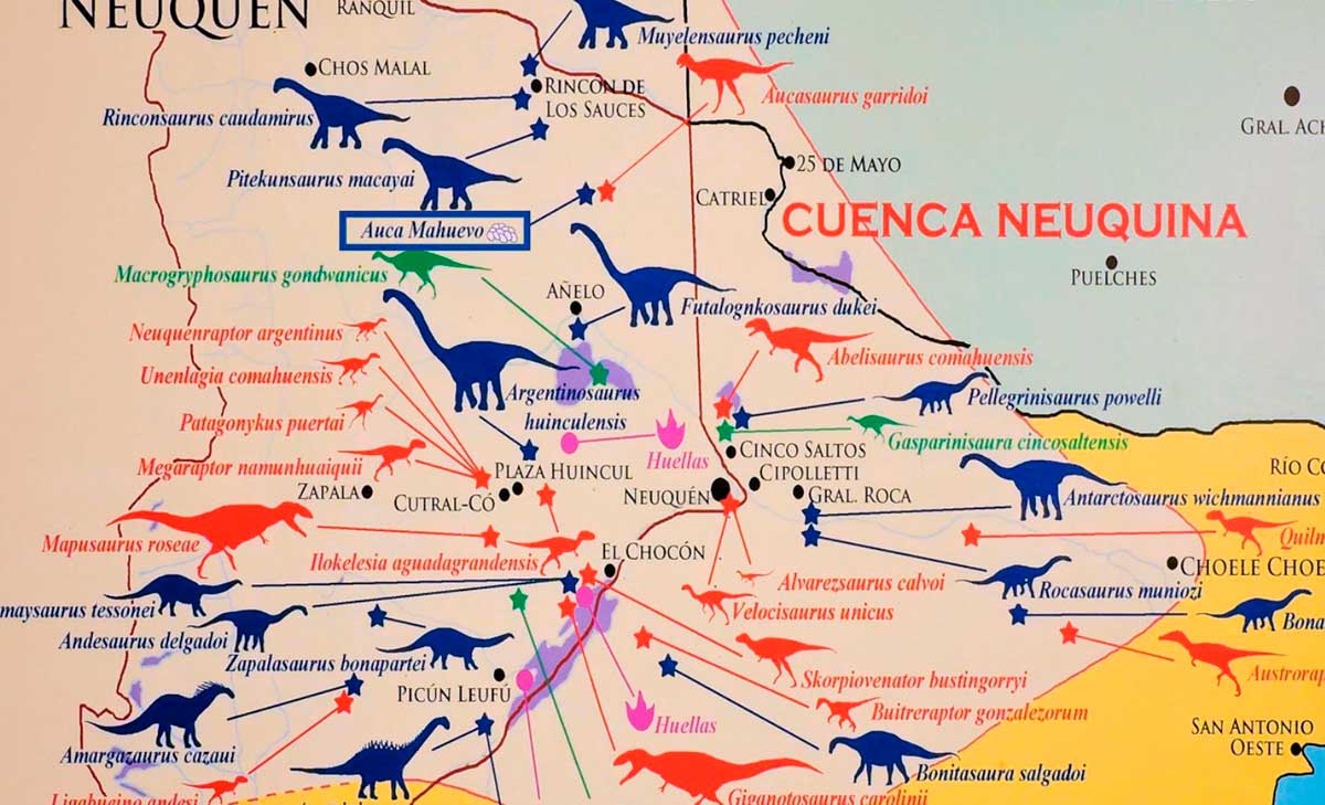 Dinosaurios de la Cuenca Neuquina