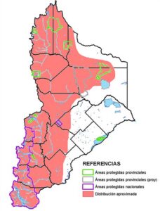 Distribución en Neuquén del cóndor (Vultur gryphus)