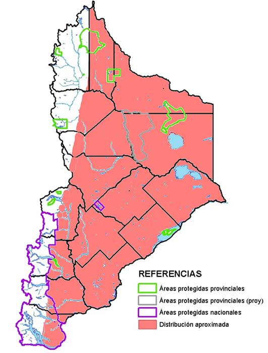 Distribución en Neuquén del loro barranquero (Cyanoliseus patagonus)