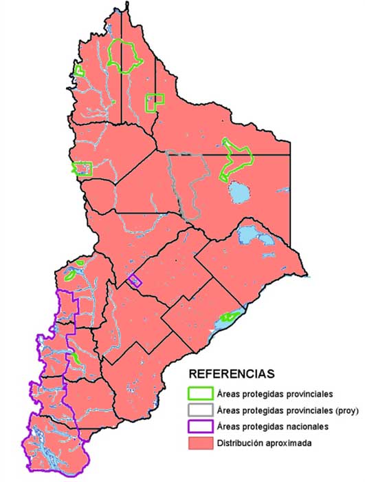 Distribución en Neuquén del Piche patagónico (Zaedyus pichiy)